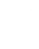 Your trusted Digital Marketing Agency in Karachi